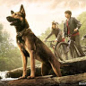 Meet your Posher, Cody